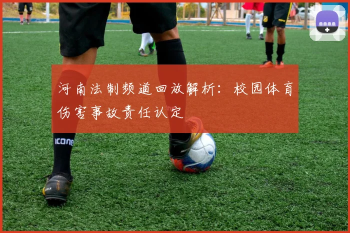 河南法制频道回放解析:校园体育伤害事故责任认定