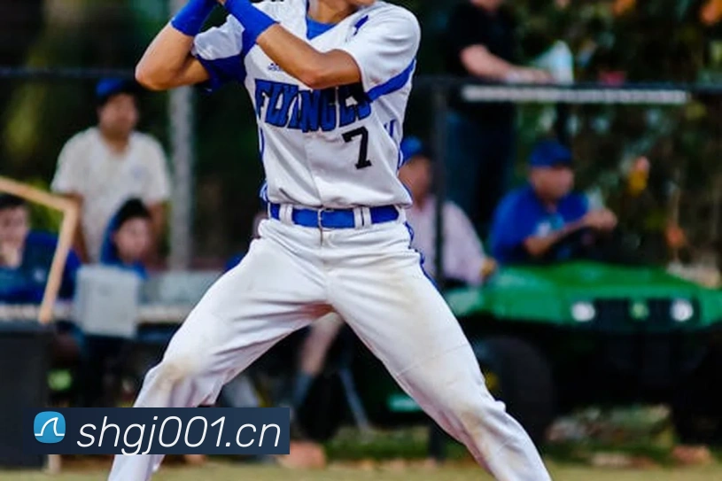 c7网站服务体系